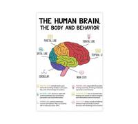 Brain Anatomy And Psychology, Mental Health, Therapy Office, CBT, Counselor's Office Canvas Poster Wall Art Decor Print Picture Paintings for Living Room Bedroom Decoration 20x30inch(50x75cm)
