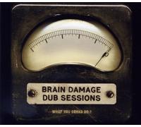 Brain Damage - Dub Sessions - What You..