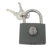 Brain Engraved Padlock Love Lock Wedding Anniversary Valentines Gift Unity Lock Free Engraving 537