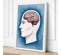 Brain in Profile Educational Canvas Wall Art Print 18x12 Inch (46 x 30 cm)