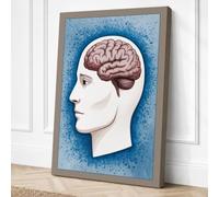 Brain in Profile Educational Canvas Wall Art Print 30x20 Inch (76 x 51 cm)