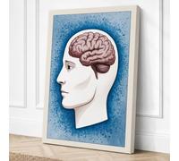 Brain in Profile Educational Canvas Wall Art Print 30x20 Inch (76 x 51 cm)