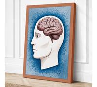 Brain in Profile Educational Canvas Wall Art Print 36x24 Inch (91 x 61 cm)
