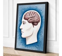 Brain in Profile Educational Canvas Wall Art Print 36x24 Inch (91 x 61 cm)
