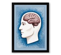 Brain in Profile Educational Framed Wall Art Print A4 (29.7×21cm) Black, Wall Decor for Living Room, Bedroom, Office & Home, Ready to Hang, Art Gift