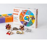 Recent Toys RT5144 Brain Puzzle Set of 6, Brown
