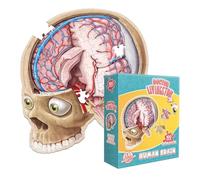 Brain Puzzle Toy, Educational Learning Game, 100 Piece Jigsaw Set, Cognitive Development Activity, for Kids Boys Girls Activity Game Home School Play Learning Fun Brain Training Skill Building