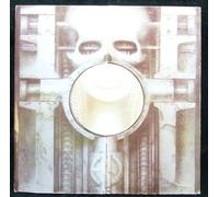 Brain Salad Surgery