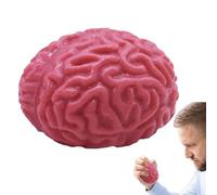 Brain Stress Ball Toy, 2.75 * 2.55 * 1.96 In Fake Brain Stress Balls, Soft Rubber Fake Human Brains, Realistic Simulated Organs With Sound, Suitable For Multiple Scenarios Such As Offices, Bedrooms,