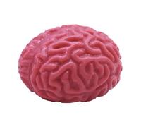Brain Stress Toy - Brain Squeeze Balls Latex Material Stress Balls, Fake Brain Stress Balls, Soft Gel Fake Organ for Halloween Party Accessories, Stress Relief, Hand Exercise