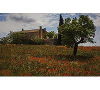 brain teaser puzzles for adults 100 pieces,Beautiful natural scenery,Flowers,Spain,Monturi,Mallorca 45,5x35,5CM