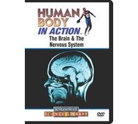 Brain & the Nervous System, The [DVD] [2001] [Region 1] [US Import] [NTSC]