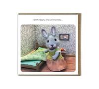 Brainbox Candy - Funny Birthday Card - Forest_Fr1ends - 'Sniff It Barry' - Cheeky Greeting Card Humour - Fun Novelty Card - For Him Her Men Women Friends Partner