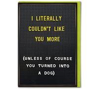Brainbox Candy - Funny Birthday Card - 'I Couldn't Like You More' - Hilarious Cards For Him Her - Cheeky Humour Birthday Cards - For Men Women Friends Mates