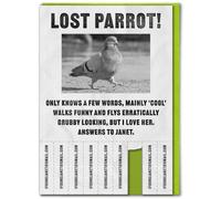Brainbox Candy - Funny Birthday Card - With Tearable Strips - 'Lost Parrot' - Hilarious Cards For Him Her - Cheeky Birthday Humour - Amusing Novelty Cards For Friends Mates - Blank Inside