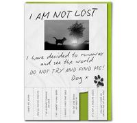 Brainbox Candy - Funny Birthday Card - With Tearable Strips - 'Not Lost Dog'- Hilarious Cards For Him Her - Cheeky Birthday Humour - Amusing Novelty Cards For Friends Mates - Blank Inside