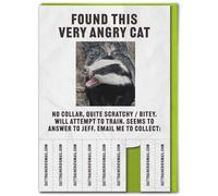 Brainbox Candy - Funny Birthday Card - With Tearable Strips - 'Very Angry Cat' - Hilarious Cards For Him Her - Cheeky Birthday Humour - Amusing Novelty Cards For Friends Mates - Blank Inside