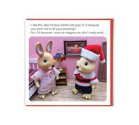 Brainbox Candy - Funny Christmas Card - Forest Fr1ends - 'Santa Role Play’- Hilarious Xmas Cards For Him Her Friends Family - Cheeky Festive Seasonal Humour