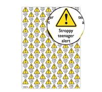 Brainbox Candy - Funny Stroppy Teenager Wrapping Paper - 2 Sheets - Gift Wrap For Son Daughter Niece Nephew - Folded Quality Wrap