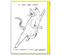 Brainbox Candy Official David Shrigley - Funny Birthday Card - 'I Am Not Cute' - Witty Amusing Birthday Humour - For Him Her Men Women Friends - Quirky Cards For Art Lovers
