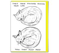 Brainbox Candy Official David Shrigley - Funny Birthday Cards Humorous Happy Birthday ‘Finished Ruining Your Life’ Perfect For Best Friends Mates Him- Sold Exclusively