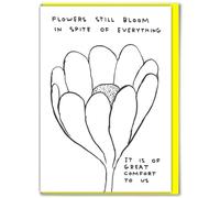 Brainbox Candy Official David Shrigley - Funny Birthday Cards Humorous Happy Birthday ‘Flowers Still Bloom Thinking Of You’ Perfect For Best Friends Mates Him- Sold Exclusively