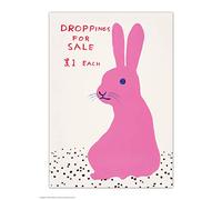 Brainbox Candy Official David Shrigley Postcard - 'Droppings For Sale' - Funny Postcards - David Shrigley Art - A6 Print - Artistic Postcard - Rabbit Lovers