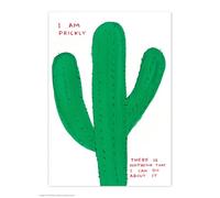 Brainbox Candy Official David Shrigley Postcard - ‘I Am Prickly’ - Funny Postcards - David Shrigley Art - A6 Print - Artistic Postcard