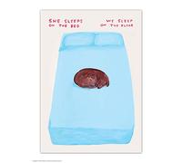 Brainbox Candy Official David Shrigley Postcard - 'She Sleeps On The Bed' - Funny Postcards - David Shrigley Art - A6 Print - Artistic Postcard - Dog Lovers