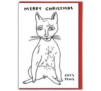 Brainbox Candy Official David Shrigley - Rude Funny Cat Christmas Cards - Offensive Christmas Cards - Perfect For Best Friends Mates Him Her Husband Wife - Sold Exclusively