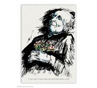 Brainbox Candy Official Hayden Kays Postcard ‘Been Braver’ - Funny Postcards - Hayden Kays Art - A6 Print - Artistic Postcard