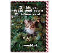 Brainbox Candy - Rude Christmas Card - 'If This Cat Could Send A Christmas Card' - For Friends, Family & Colleagues - Funny Cat Themed Xmas Card - 120mm x 170mm - Blank Inside