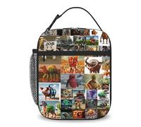 Brainrot Boys Pack Lunch Bag Kids, Reusable Rrain Rot Thermos Lunch Box, Tung Tung Tung Sahur, Waterproof Brainrot Lunch Box for Packing Hot or Cold Snacks, for School, Work, Picnic, Travel, Hikink(B)