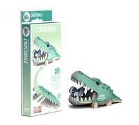 Brainstorm Crocodile