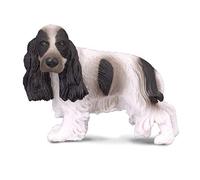 brainstorm RSPCA English Cocker Spaniel