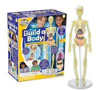 Brainstorm Toys Build A Body Activity Kit - 32-Piece 3D Human Anatomy Model for Kids - Educational Build & Learn Kit with Removable Organs, Bones, Display Stand, Online Tutorial & Fun Body Facts