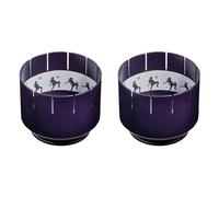 Brainstorm TOYS Zoetrope Classic Animation Toy, (Pack of 2)