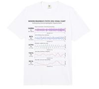 Brainwave Frequency Bands Mind Activity Science Visual Comfort Colors Adult Heavyweight T-Shirt