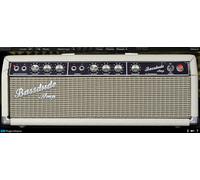 Brainworx bx_bassdude