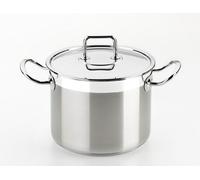 Braisogona Professional Stainless Steel Stew Pot, 16 cm