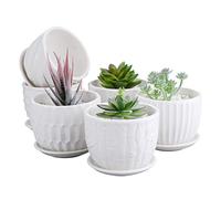 Brajttt Flower Pots, 4 Inch Cylinder Ceramic Plant Pots with Connected Saucer, Mini Ceramic Planters for Succulent and Little Snake Plants (6 Pack, White)