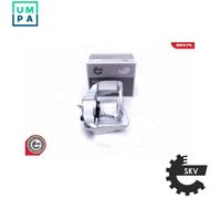 ESEN SKV 55SKV771 Brake caliper
