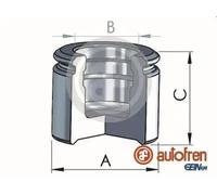 AUTOFREN SEINSA D025310 Brake caliper piston