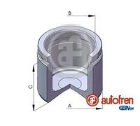 AUTOFREN SEINSA D02579 Piston, brake caliper