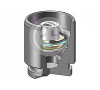 AUTOFREN SEINSA D025119K Piston, brake caliper