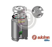AUTOFREN SEINSA D02545LK Piston, brake caliper