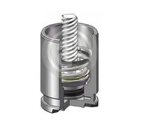 AUTOFREN SEINSA D025530K Brake caliper piston