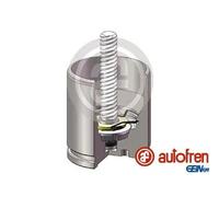 Brake caliper piston Rear Axle D025682K AUTOFREN SEINSA for OPEL RENAULT NISSAN