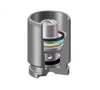 AUTOFREN SEINSA D02594K Piston, brake caliper
