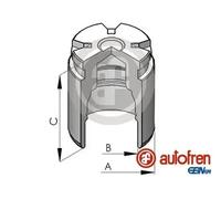 AUTOFREN SEINSA D025120 Brake caliper piston